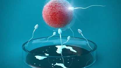 二代试管婴儿适应症_选择二代和三代试管_武汉助孕试管婴儿若遭遇卵泡过小或