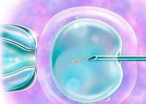 澳门试管婴儿选性别的医院_供卵试管赞 坤和_MOx9H_如果女性不排卵，还能通过试