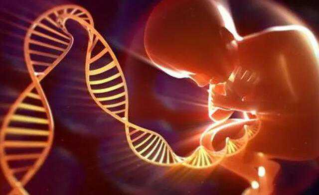 试管婴儿可以选择基因吗_想生龙凤胎可以做试管婴儿吗_深度解析/贝康医疗：国
