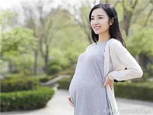 辽宁供卵孕妈妈_做泰国试管婴儿女方要具备什么条件？