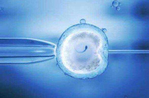 试管婴儿龙凤胎的几率有多大_试管婴儿异卵双胞胎龙凤胎的概率_试管婴儿孕前